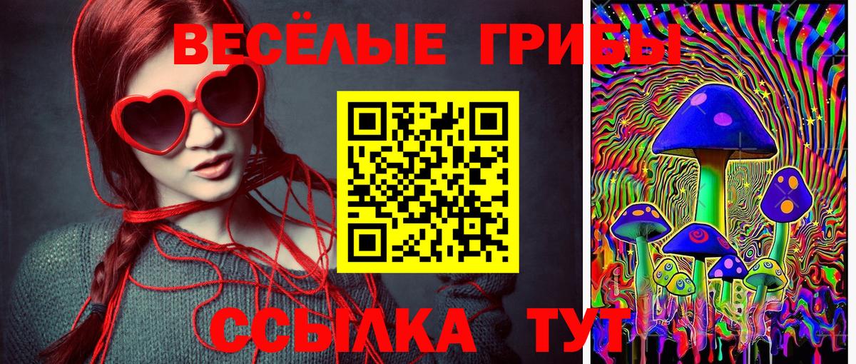 закладки  Псилоцибиновые грибы Psilocybe  Белогорск  Вход с VPN  Псилоцибиновые грибы Psilocybine cubensis 