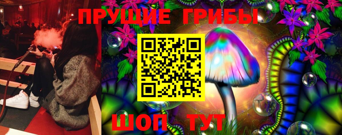 Псилоцибиновые грибы Psilocybine cubensis Белогорск